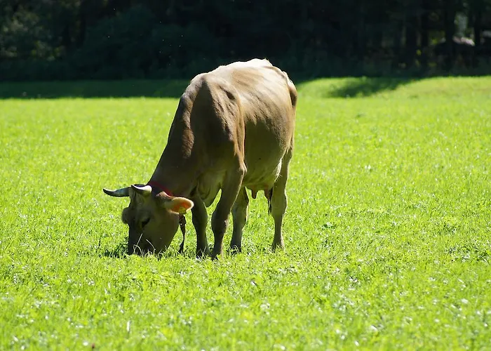 Bauernhof Dismasn Hof